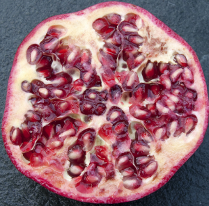 pomegranate