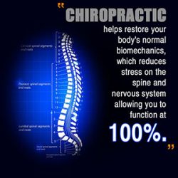 Image result for chiropractic